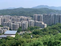 -福道