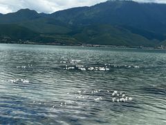-丽江泸沽湖景区