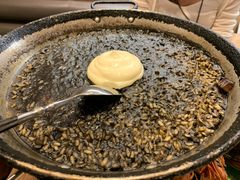 -Tapa Tapa