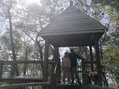 -天目湖山水园