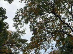 -杭州城北体育公园