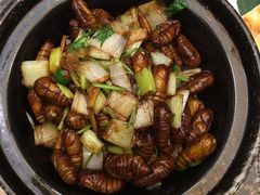 -大秦瓦罐(光谷大街店)