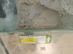 -果乐多生鲜超市(宏业广场店)