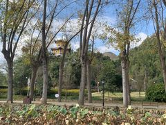 -安龙招堤