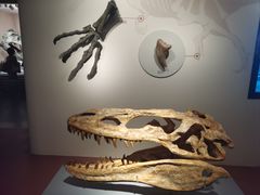 -自贡恐龙博物馆