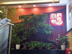 -洞庭家宴·头牌甲鱼(广渠门店)