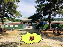 -清东陵