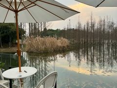 -白鹭湾湿地公园