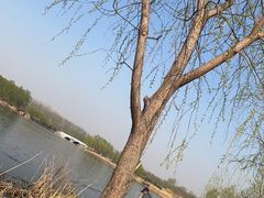 -马家湾湿地公园