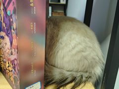 -剧狐剧本杀·月球探案馆(人民广场1号店)