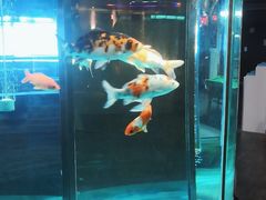 -阳光台球俱乐部