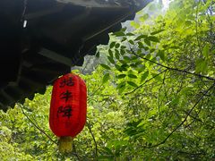 -石台牯牛降景区