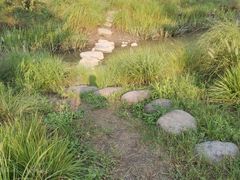 -柳鹭田园区