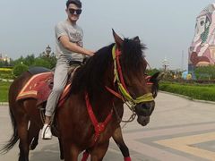 -俄罗斯国家大马戏团