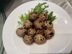 鹌鹑蛋-千岛湖鱼味馆(十字街总店)