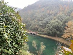 -桃花岭景区