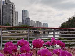 -海心沙亚运公园