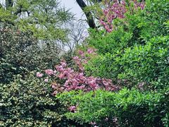 -青岛崂山太清宫