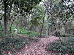 -上海佘山国家森林公园天马山园