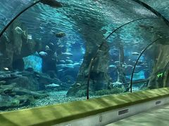 -福州罗源湾海洋世界旅游区