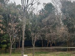 -东湖小天池真人CS彩弹野战基地