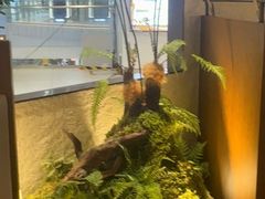 -川成元·麻辣香锅(凯德MALL西直门店)