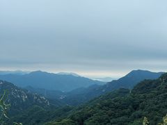 -大岭沟猕猴桃谷风景区