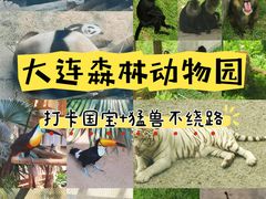 -大连森林动物园