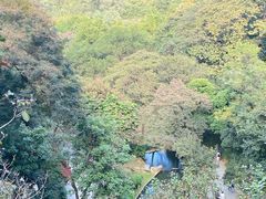 -广州市白云山风景名胜区