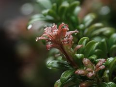 -陈家山荷花公园
