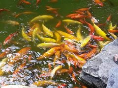 -柳侯公园