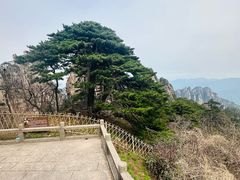-黄山风景区