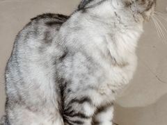 -平行世界·猫咖(首经贸店)