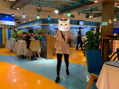 -马大胡子清真西北菜