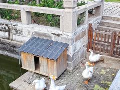 -苏州文庙(姑苏区)