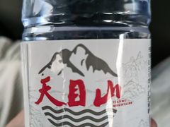 -天目山大树王景区