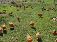 -小渠子旅游区