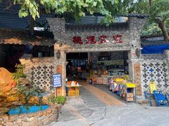 门面-桃姐农庄老字号(从化温泉店)