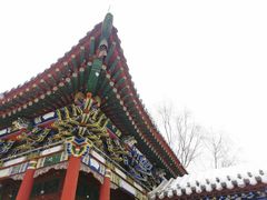 -迎泽公园