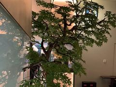 -潮上潮(南中环店)