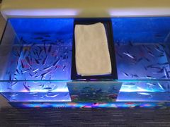 -纽斯洗浴SPA(三墩店)