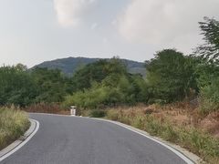 -南京老山国家森林公园