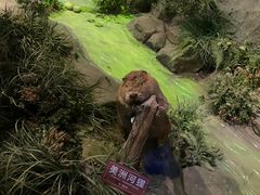 -陕西自然博物馆