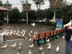 -南昌之星游乐场