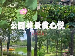 -莲湖公园