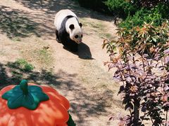 -西霞口神雕山野生动物世界