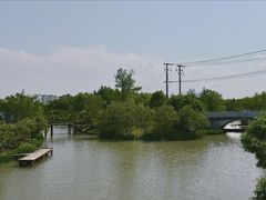 -上海长兴岛郊野公园