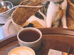 -Again Coffee Roaster(香蜜湖店)