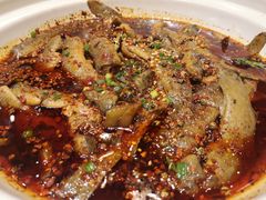情妹耙泥鳅-情妹耙泥鳅·江湖川菜(科华店)