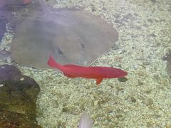 -鸿通城购物中心